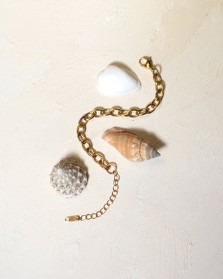 Latest Arrivals - Nadare Co.