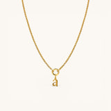 Lower Case Initial Charm