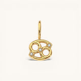 Zodiac Charm