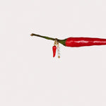 Nadare Co. Birth Month Bead Charm featuring faceted beads and a small red chili charm hanging from a chili pepper.