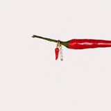 Nadare Co. Birth Month Bead Charm featuring faceted beads and a small red chili charm hanging from a chili pepper.
