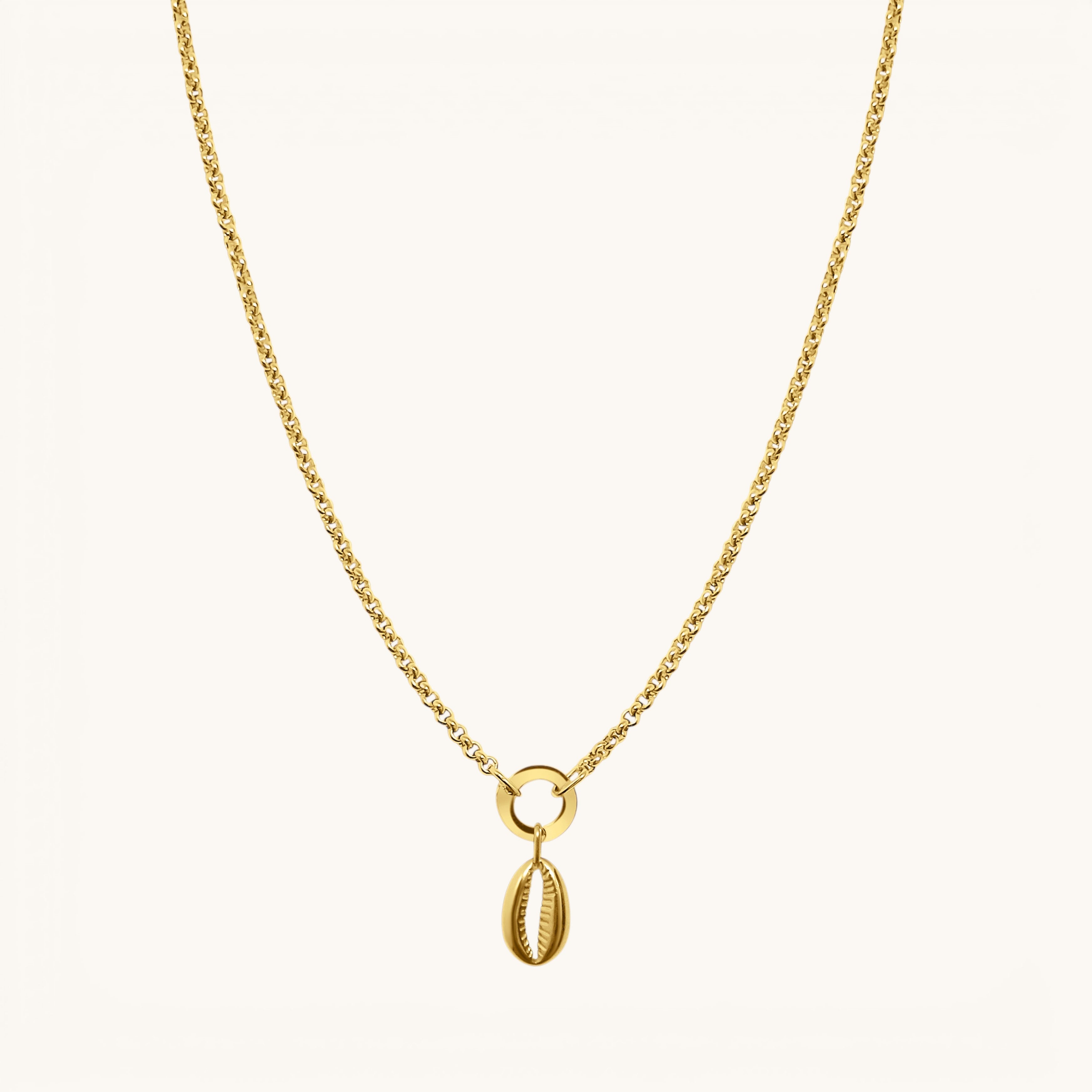 Nadare Co. 14k gold-plated stainless steel cowrie shell charm on a delicate gold chain necklace