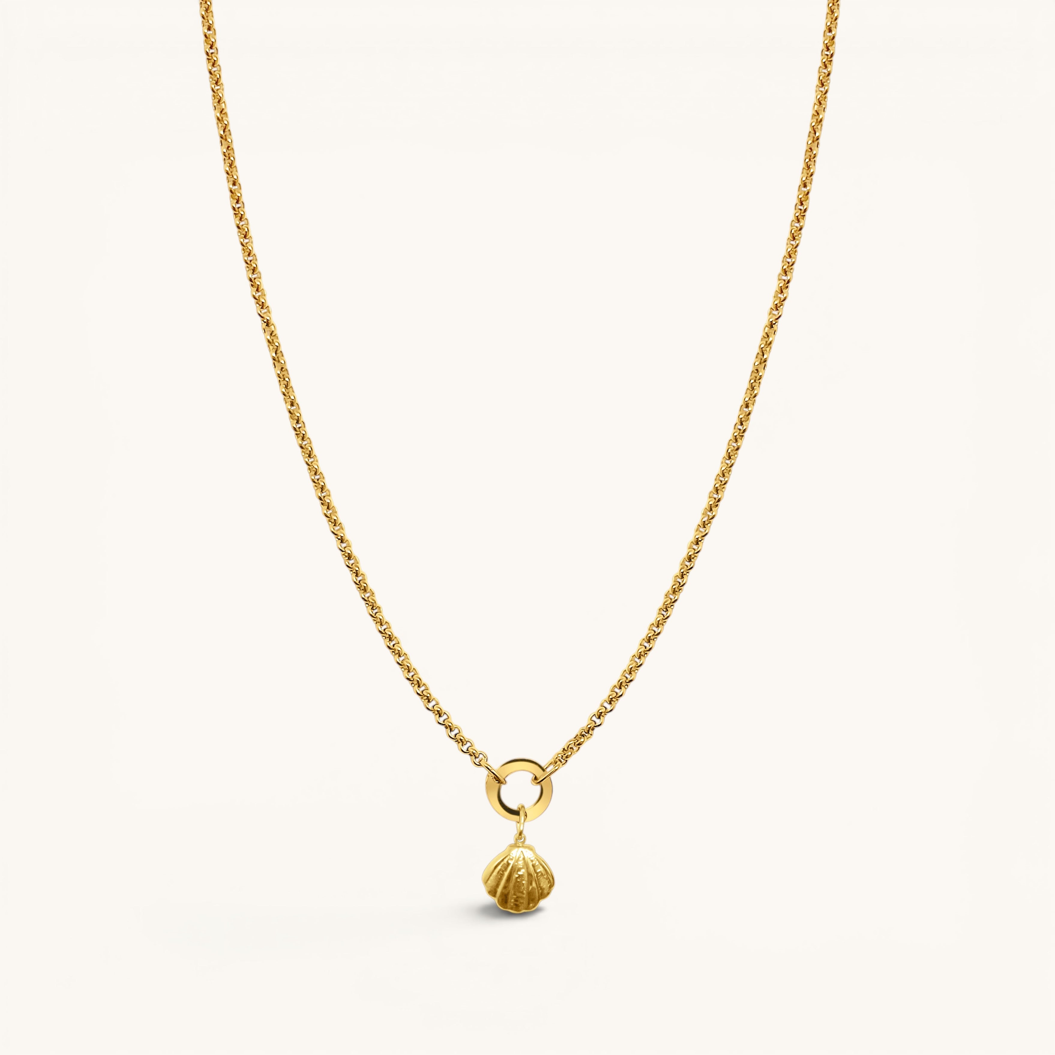 Nadare Co. gold-plated stainless steel scallop shell charm pendant on a delicate gold chain necklace.