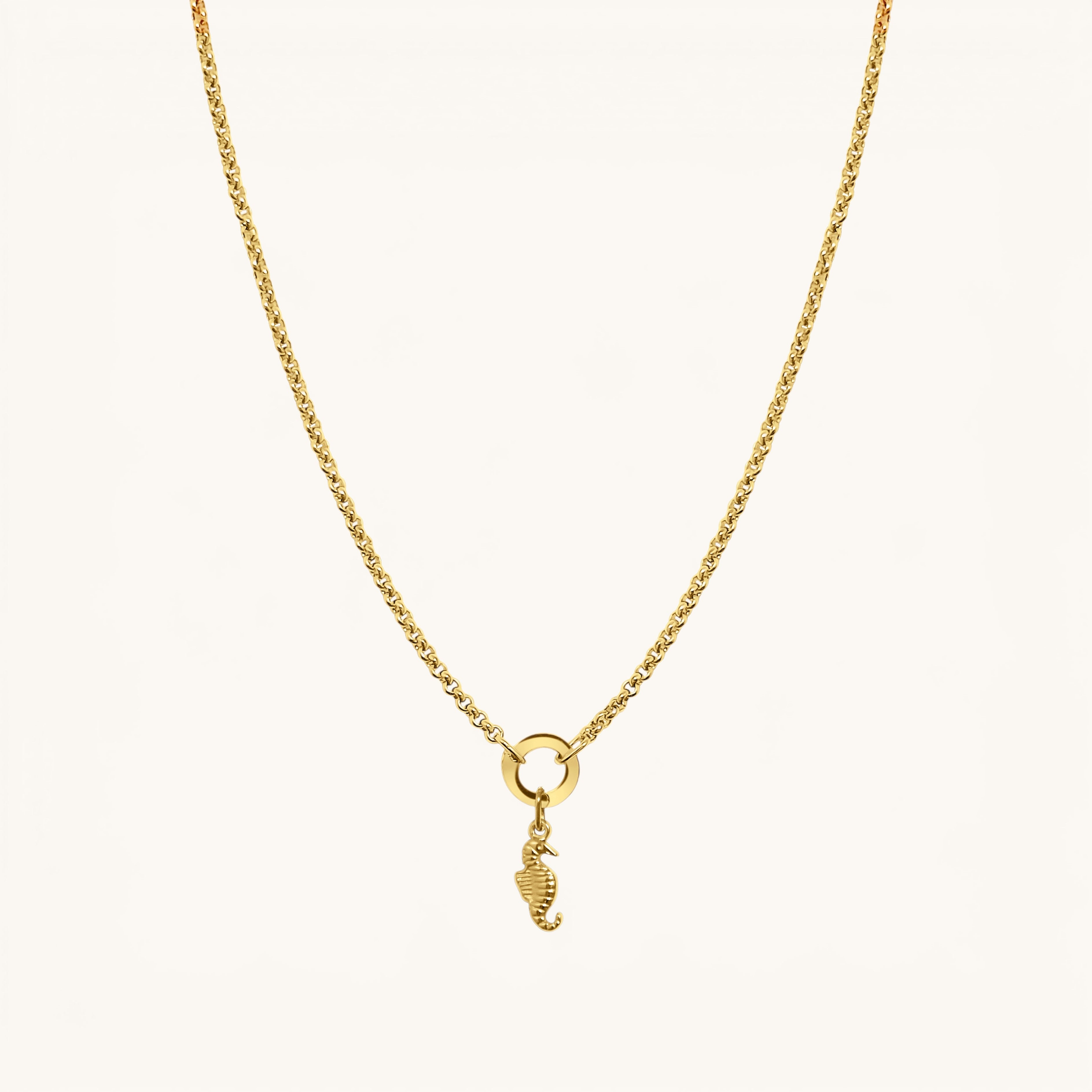 Nadare Co. seahorse charm in 14k gold-plated stainless steel hanging on a delicate gold chain necklace.