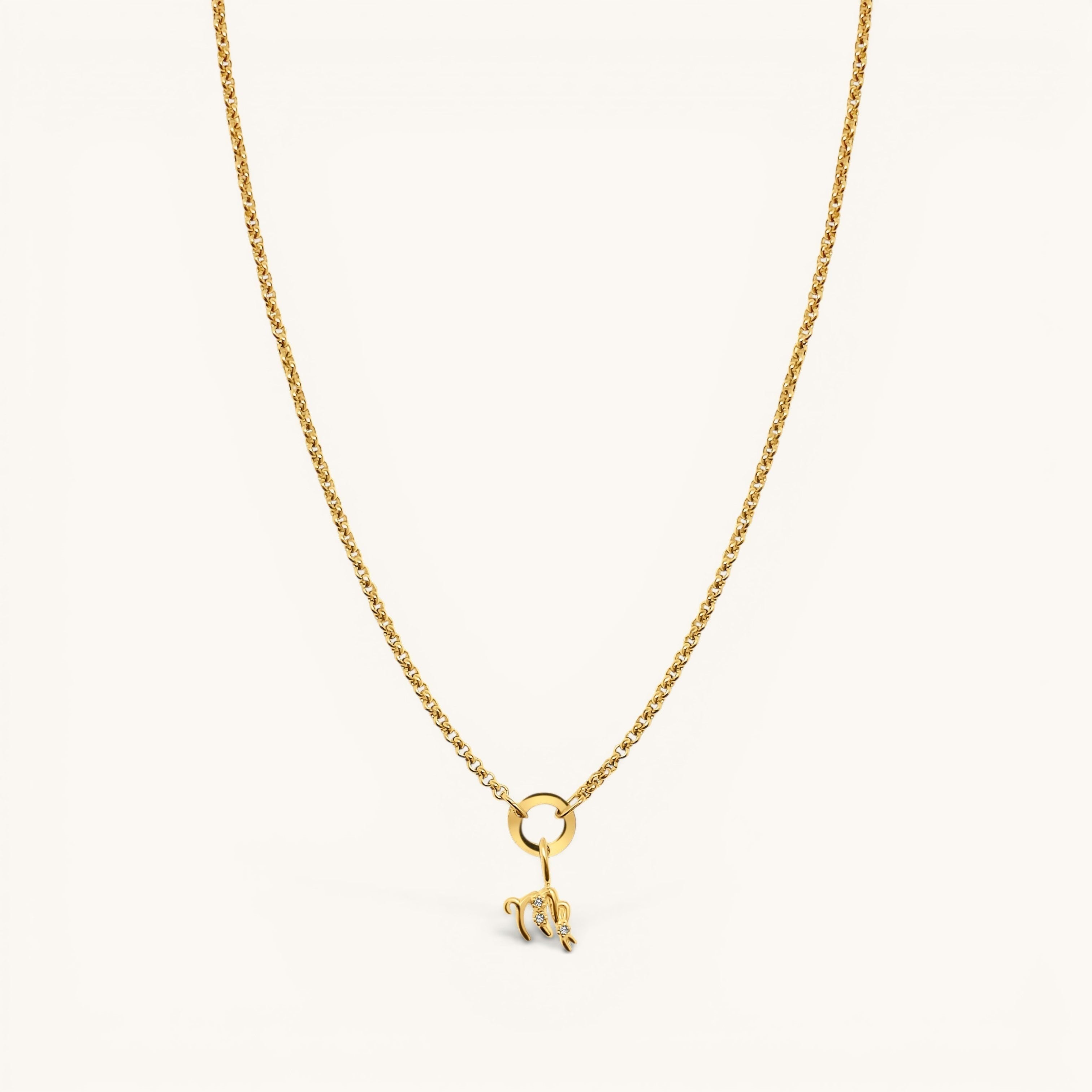 Nadare Co. gold-plated zodiac charm necklace with cubic zirconia accents on a delicate chain against a white background