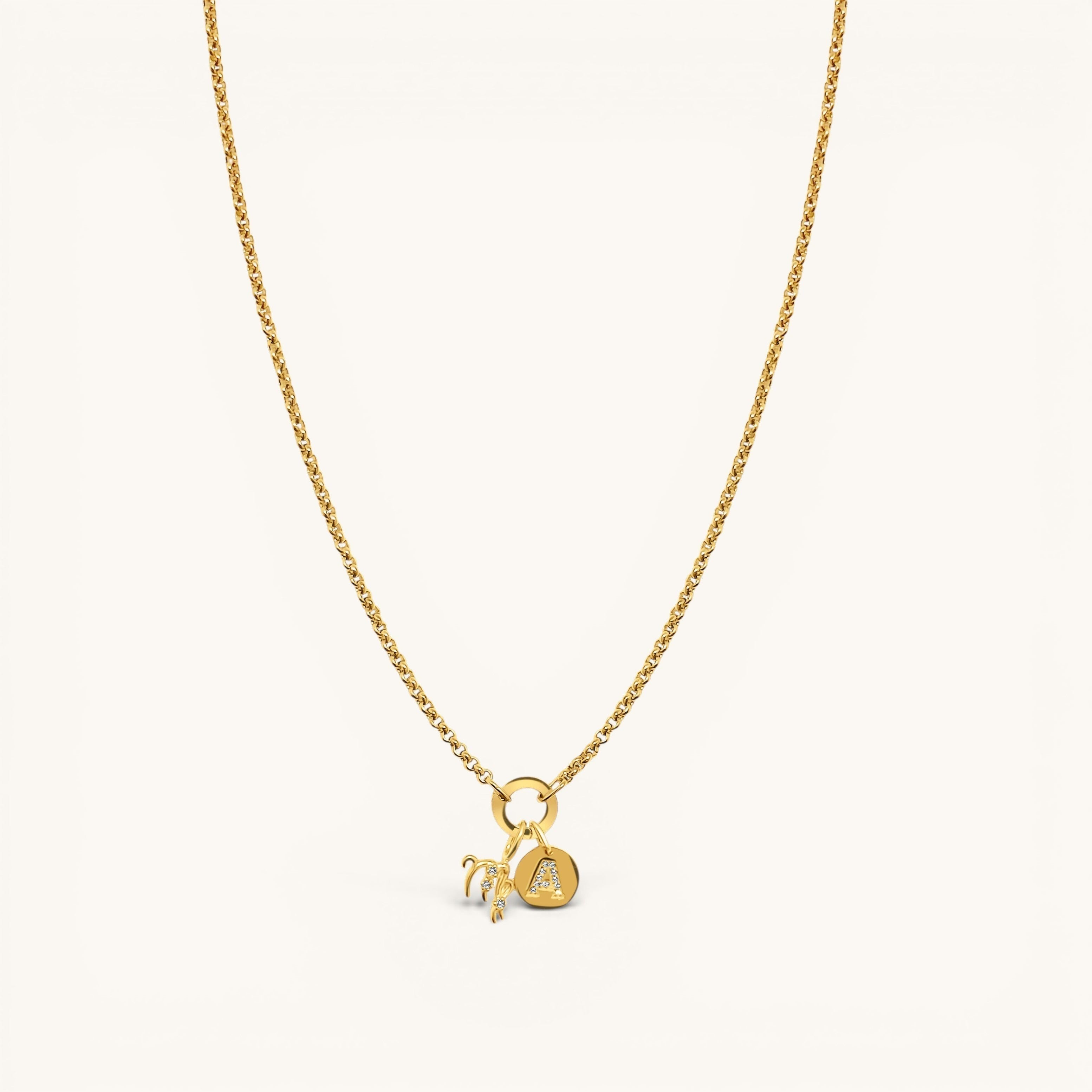 Nadare Co. gold plated stainless steel zodiac charm necklace with cubic zirconia accents on a delicate chain