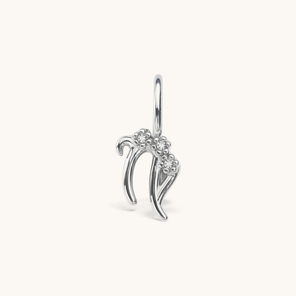 Nadare Co. silver-toned zodiac charm with cubic zirconia accents for necklace layering